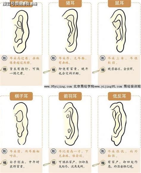 虎耳面相|十六種耳朵面相圖文分析